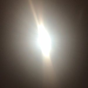 Meet your Posher, Ellie